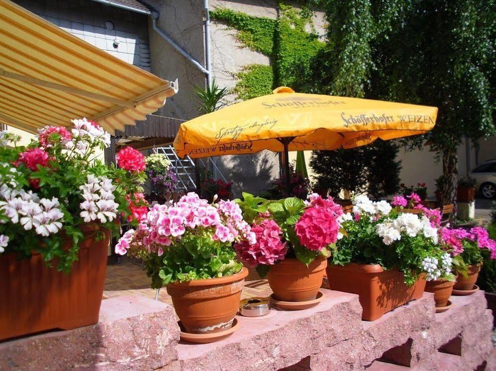 Gasthaus Forelle Thale Exterior photo